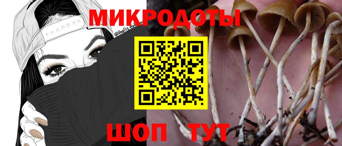 Псилоцибиновые грибы Psilocybe  Вход с VPN  закладка  Галлюциногенные грибы мухоморы  Магнитогорск 